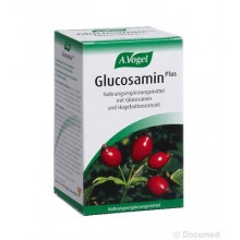 VOGEL glucosamine plus cpr à l'ext cynorrh 60 pce